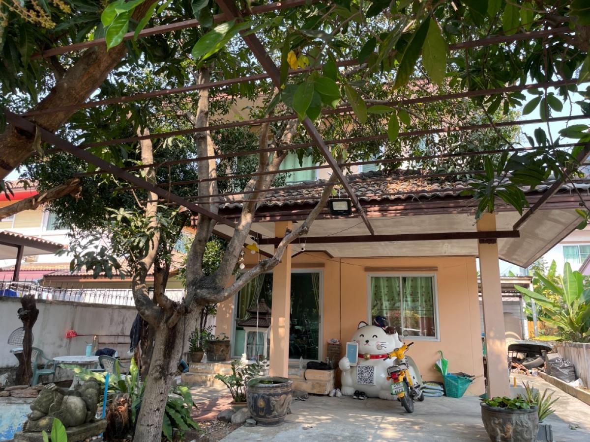 ขายบ้านนนทบุรี บางใหญ่ บางบัวทอง : ขายด่วน บ้านเดี่ยวหลังใหญ่  บ้านทิวตะวัน บางใหญ่ ซอยโรงเรียนสารสาสน์วิเทศ บางบัวทอง 55.70 ตรว