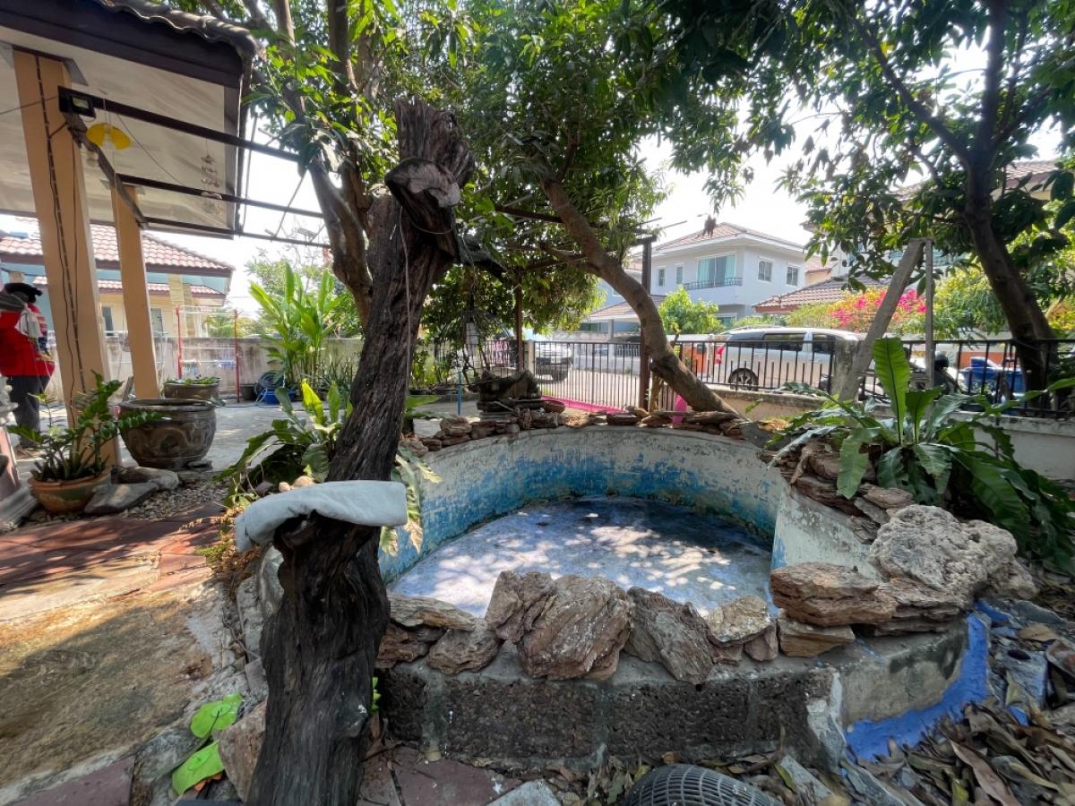 ขายบ้านนนทบุรี บางใหญ่ บางบัวทอง : ขายด่วน บ้านเดี่ยวหลังใหญ่  บ้านทิวตะวัน บางใหญ่ ซอยโรงเรียนสารสาสน์วิเทศ บางบัวทอง 55.70 ตรว