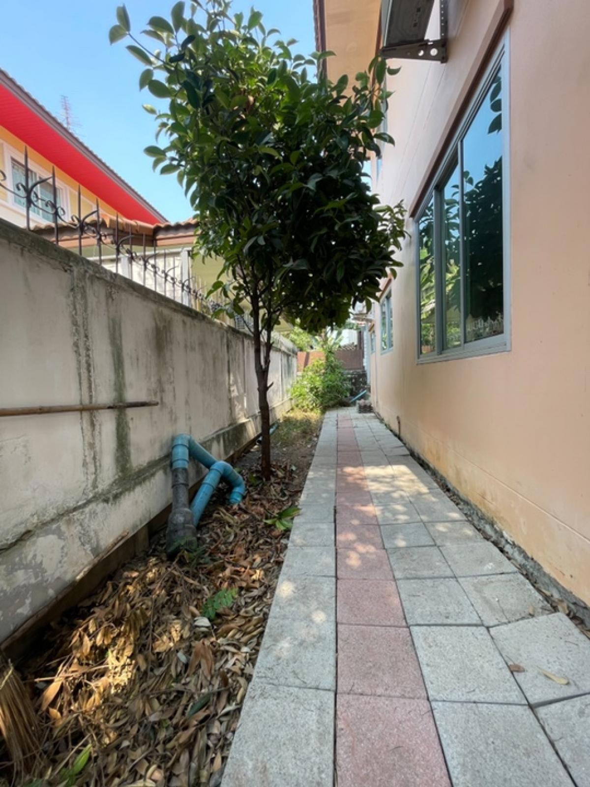 ขายบ้านนนทบุรี บางใหญ่ บางบัวทอง : ขายด่วน บ้านเดี่ยวหลังใหญ่  บ้านทิวตะวัน บางใหญ่ ซอยโรงเรียนสารสาสน์วิเทศ บางบัวทอง 55.70 ตรว