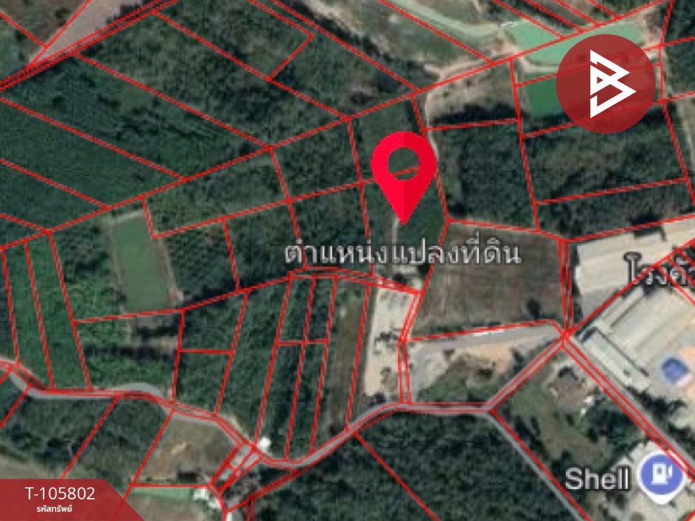 ขายที่ดินน่าน : ขายที่ดินเปล่า เนื้อที่ 6 ไร่ 43 ตร.วา เวียงสา น่าน