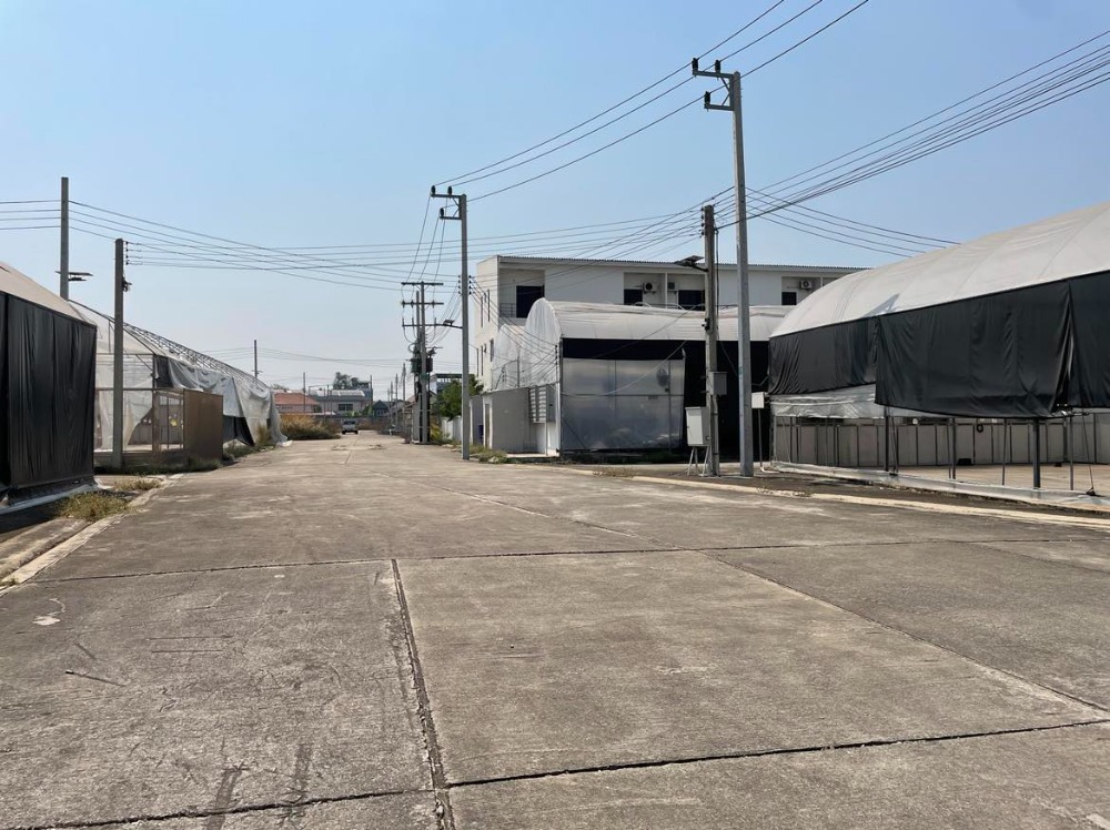 For SaleLandBang kae, Phetkasem : Land for sale 18 rai 1 ngan 59.2 square wah on Petchkasem Road 81  Nong Hong Phlu Subdistrict, Nong Khaem District, Bangkok