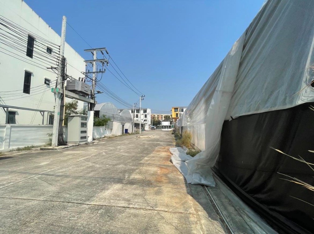 For SaleLandBang kae, Phetkasem : Land for sale 18 rai 1 ngan 59.2 square wah on Petchkasem Road 81  Nong Hong Phlu Subdistrict, Nong Khaem District, Bangkok