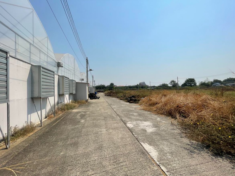 For SaleLandBang kae, Phetkasem : Land for sale 18 rai 1 ngan 59.2 square wah on Petchkasem Road 81  Nong Hong Phlu Subdistrict, Nong Khaem District, Bangkok