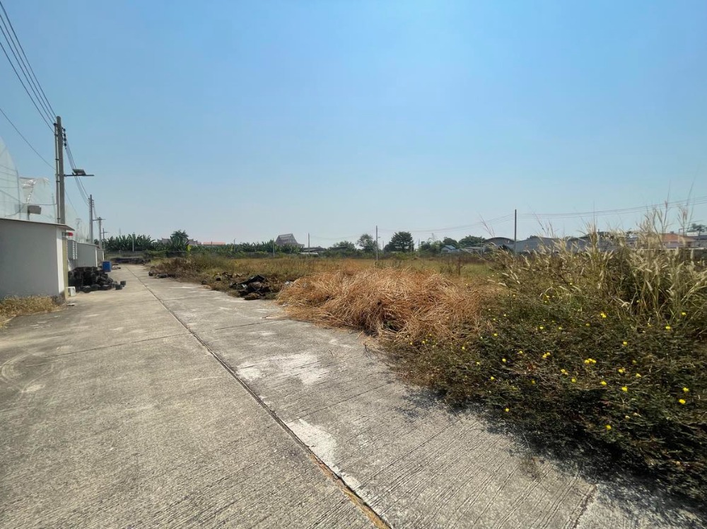 For SaleLandBang kae, Phetkasem : Land for sale 18 rai 1 ngan 59.2 square wah on Petchkasem Road 81  Nong Hong Phlu Subdistrict, Nong Khaem District, Bangkok