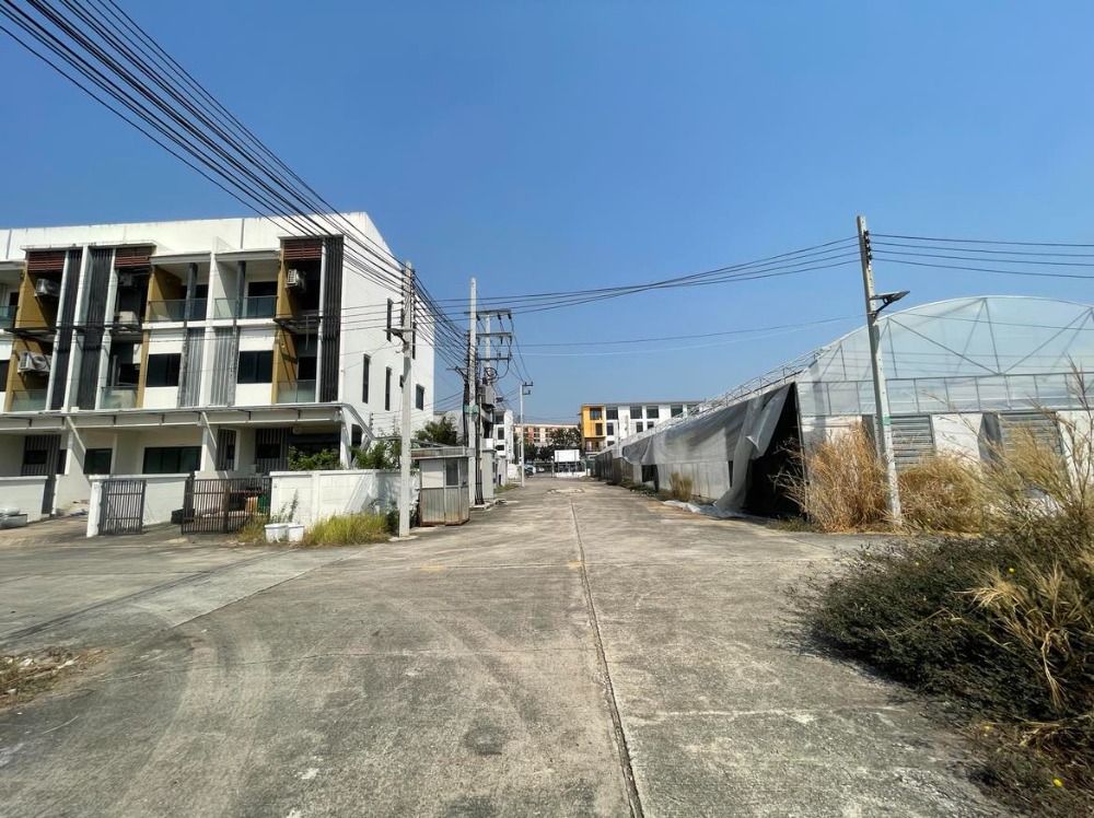 For SaleLandBang kae, Phetkasem : Land for sale 18 rai 1 ngan 59.2 square wah on Petchkasem Road 81  Nong Hong Phlu Subdistrict, Nong Khaem District, Bangkok