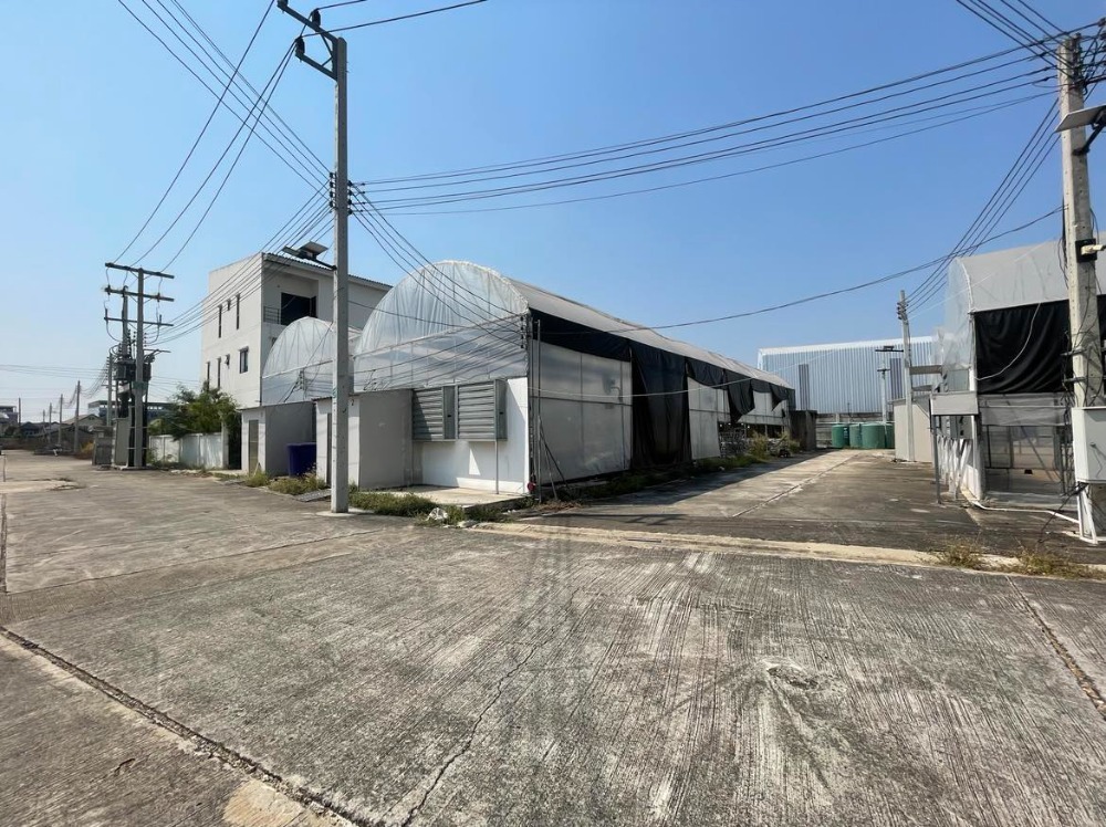 For SaleLandBang kae, Phetkasem : Land for sale 18 rai 1 ngan 59.2 square wah on Petchkasem Road 81  Nong Hong Phlu Subdistrict, Nong Khaem District, Bangkok