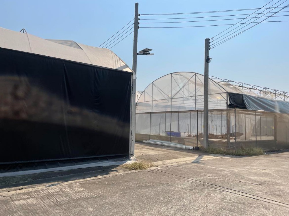 For SaleLandBang kae, Phetkasem : Land for sale 18 rai 1 ngan 59.2 square wah on Petchkasem Road 81  Nong Hong Phlu Subdistrict, Nong Khaem District, Bangkok