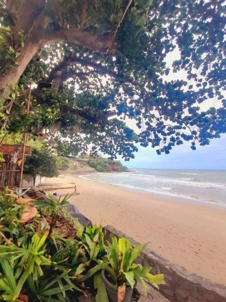 ขายกิจการโรงแรม & กิจการอพาร์ตเมนต์พัทยา บางแสน ชลบุรี สัตหีบ : บ้าน 5 หลัง บนเขาพระตำหนัก พัทยา ห่างจากทะเล 400 เมตร เหมาะสำหรับการลงทุน ขายพร้อมหรือไม่พร้อมผู้เช่าได้