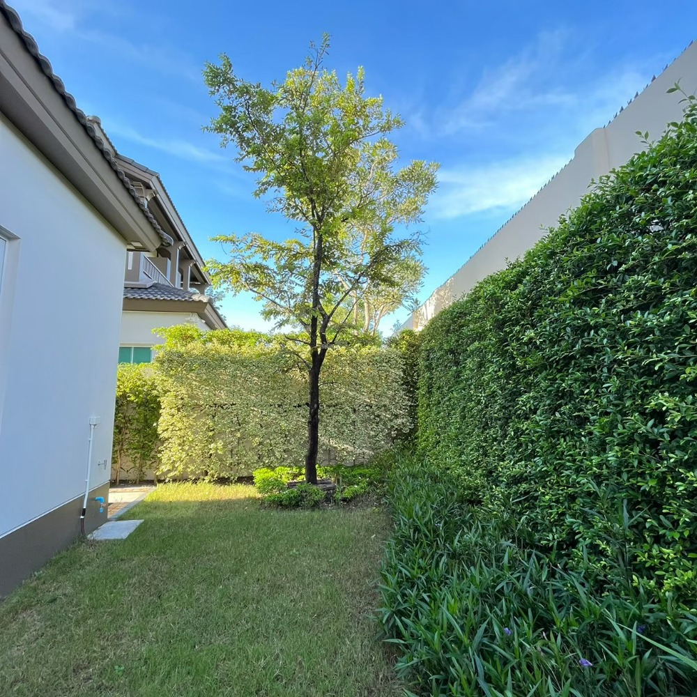 For RentHouseVipawadee, Don Mueang, Lak Si : Rent 108 Sq. 291 sqm 4, 4, 2-storey detached house, Nantawan Ram Inthra-Phahonyothin 50