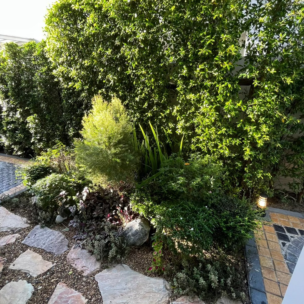 For RentHouseVipawadee, Don Mueang, Lak Si : Rent 108 Sq. 291 sqm 4, 4, 2-storey detached house, Nantawan Ram Inthra-Phahonyothin 50