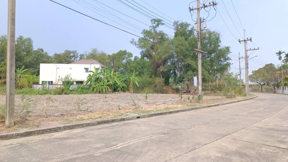 ขายที่ดินปทุมธานี รังสิต ธรรมศาสตร์ : ขายที่ดินเปล่าถมแล้ว 159 ตรว. หมู่บ้านกฤษดานคร 29 รังสิตคลอง 1 ถมแล้ว