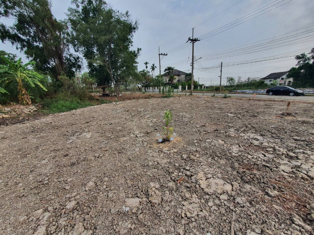 ขายที่ดินปทุมธานี รังสิต ธรรมศาสตร์ : ขายที่ดินเปล่าถมแล้ว 159 ตรว. หมู่บ้านกฤษดานคร 29 รังสิตคลอง 1 ถมแล้ว