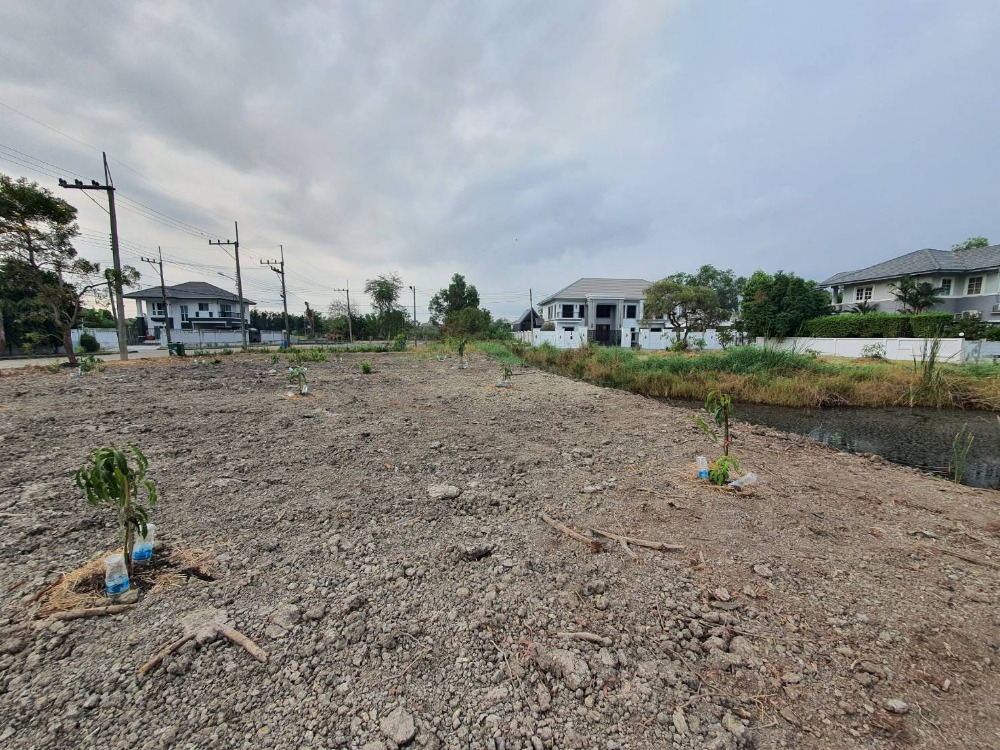 ขายที่ดินปทุมธานี รังสิต ธรรมศาสตร์ : ขายที่ดินเปล่าถมแล้ว 159 ตรว. หมู่บ้านกฤษดานคร 29 รังสิตคลอง 1 ถมแล้ว