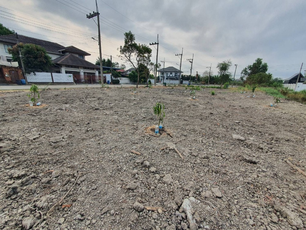 ขายที่ดินปทุมธานี รังสิต ธรรมศาสตร์ : ขายที่ดินเปล่าถมแล้ว 159 ตรว. หมู่บ้านกฤษดานคร 29 รังสิตคลอง 1 ถมแล้ว