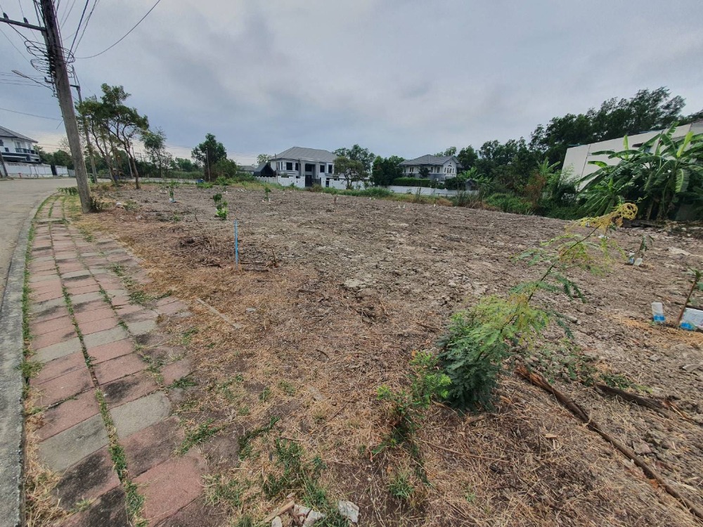 ขายที่ดินปทุมธานี รังสิต ธรรมศาสตร์ : ขายที่ดินเปล่าถมแล้ว 159 ตรว. หมู่บ้านกฤษดานคร 29 รังสิตคลอง 1 ถมแล้ว