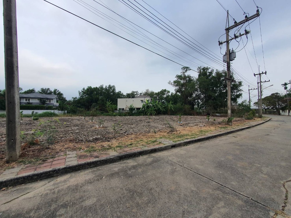 ขายที่ดินปทุมธานี รังสิต ธรรมศาสตร์ : ขายที่ดินเปล่าถมแล้ว 159 ตรว. หมู่บ้านกฤษดานคร 29 รังสิตคลอง 1 ถมแล้ว