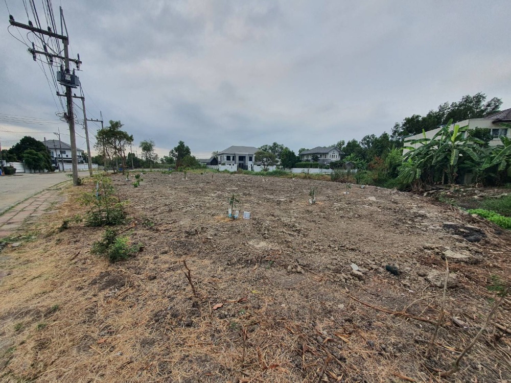 ขายที่ดินปทุมธานี รังสิต ธรรมศาสตร์ : ขายที่ดินเปล่าถมแล้ว 159 ตรว. หมู่บ้านกฤษดานคร 29 รังสิตคลอง 1 ถมแล้ว