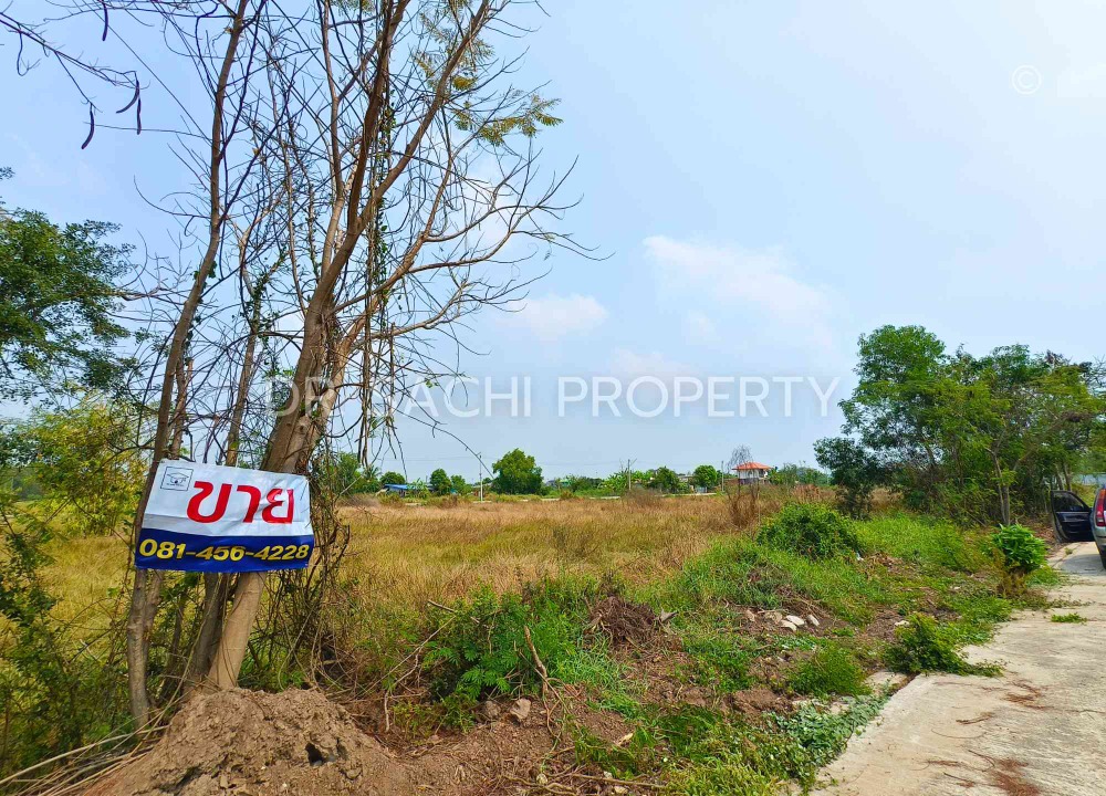 ขายที่ดินปทุมธานี รังสิต ธรรมศาสตร์ : ขายที่ดินเปล่า 100 ตรว. คลอง 4 ใกล้สำนักงานขนส่ง คลองหลวง ปทุมธานี