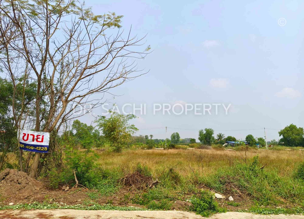 ขายที่ดินปทุมธานี รังสิต ธรรมศาสตร์ : ขายที่ดินเปล่า 100 ตรว. คลอง 4 ใกล้สำนักงานขนส่ง คลองหลวง ปทุมธานี