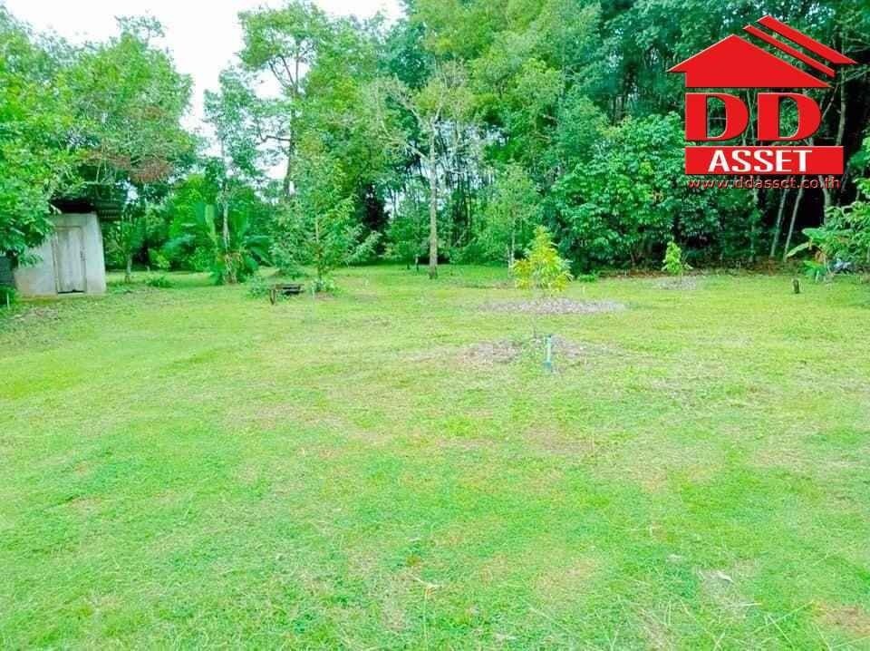 ขายที่ดินจันทบุรี : ขายสวนผสม ทุเรียน มังคุด พร้อมบ้าน อำเภอท่าใหม่ จันทบุรี เนื้อที่ 10ไร่ 18วา ห่างจากถนนใหญ่ที่วิ่งเข้ากรุงเทพเพียง 3 กม. รหัส : L8038