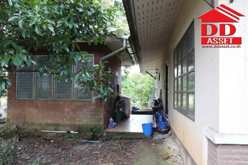 ขายที่ดินจันทบุรี : ขายสวนผสม ทุเรียน มังคุด พร้อมบ้าน อำเภอท่าใหม่ จันทบุรี เนื้อที่ 10ไร่ 18วา ห่างจากถนนใหญ่ที่วิ่งเข้ากรุงเทพเพียง 3 กม. รหัส : L8038