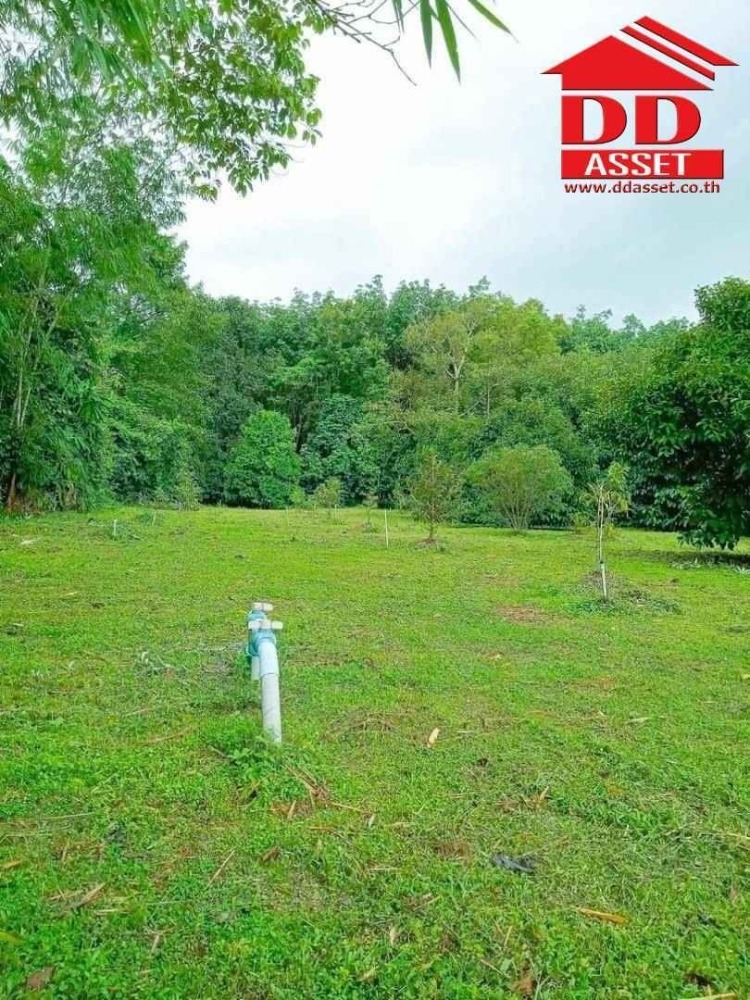 ขายที่ดินจันทบุรี : ขายสวนผสม ทุเรียน มังคุด พร้อมบ้าน อำเภอท่าใหม่ จันทบุรี เนื้อที่ 10ไร่ 18วา ห่างจากถนนใหญ่ที่วิ่งเข้ากรุงเทพเพียง 3 กม. รหัส : L8038