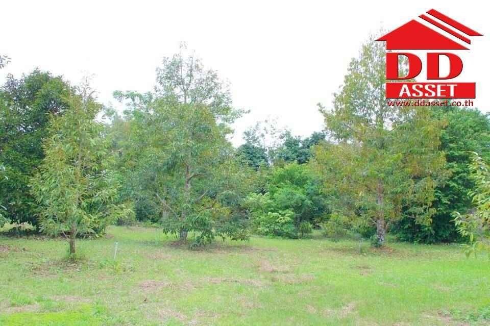 ขายที่ดินจันทบุรี : ขายสวนผสม ทุเรียน มังคุด พร้อมบ้าน อำเภอท่าใหม่ จันทบุรี เนื้อที่ 10ไร่ 18วา ห่างจากถนนใหญ่ที่วิ่งเข้ากรุงเทพเพียง 3 กม. รหัส : L8038