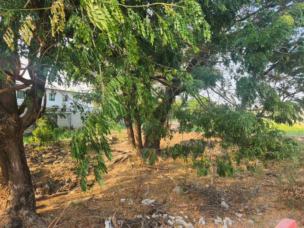 For SaleLandLadkrabang, Suwannaphum Airport : Land for sale at Chaloem Phrakiat Rama 9. Near Nissan showroom, Prawet Branch