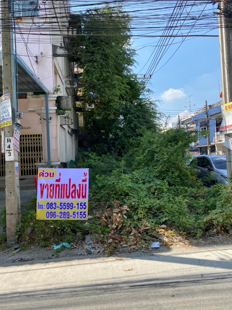 ขายที่ดินอ่อนนุช อุดมสุข : ขายที่ดินเปล่า อ่อนนุช 27