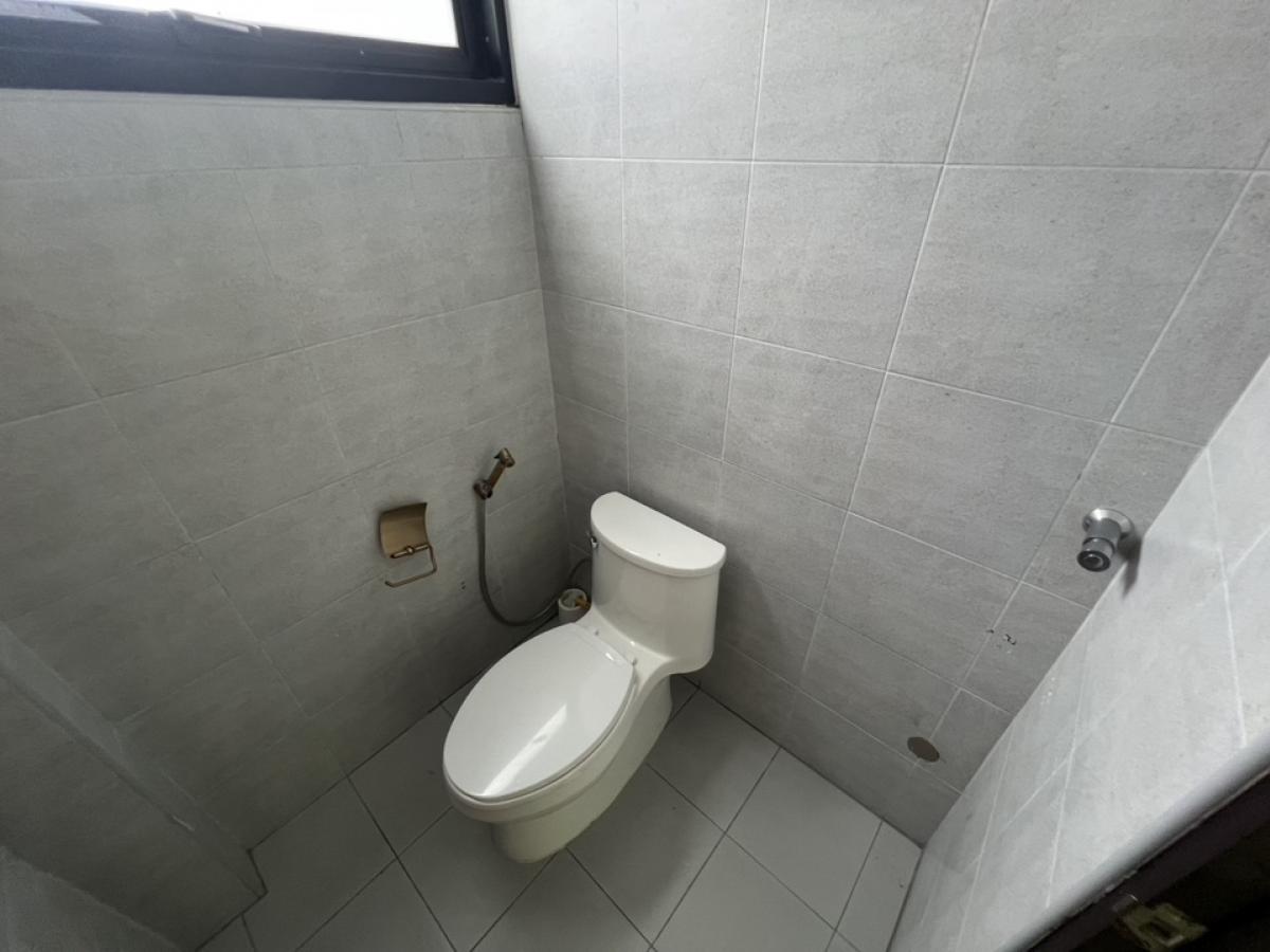 ให้เช่าร้านค้า/ตลาดนัดสุขุมวิท อโศก ทองหล่อ : ปล่อยเช่า อาคารเชิงพาณิชย์ 2 ชั้น ตึกเดี่ยว (Stand Alone Building) ที่จอดรถ 3 คัน และใกล้เคียง สถานที่ ซอยเอกมัย สุขุมวิท 63 เชื่อมต่อ ทองหล่อ และปรีดีพนมยงค์ , เหมาะเช่าทำธุรกิจ