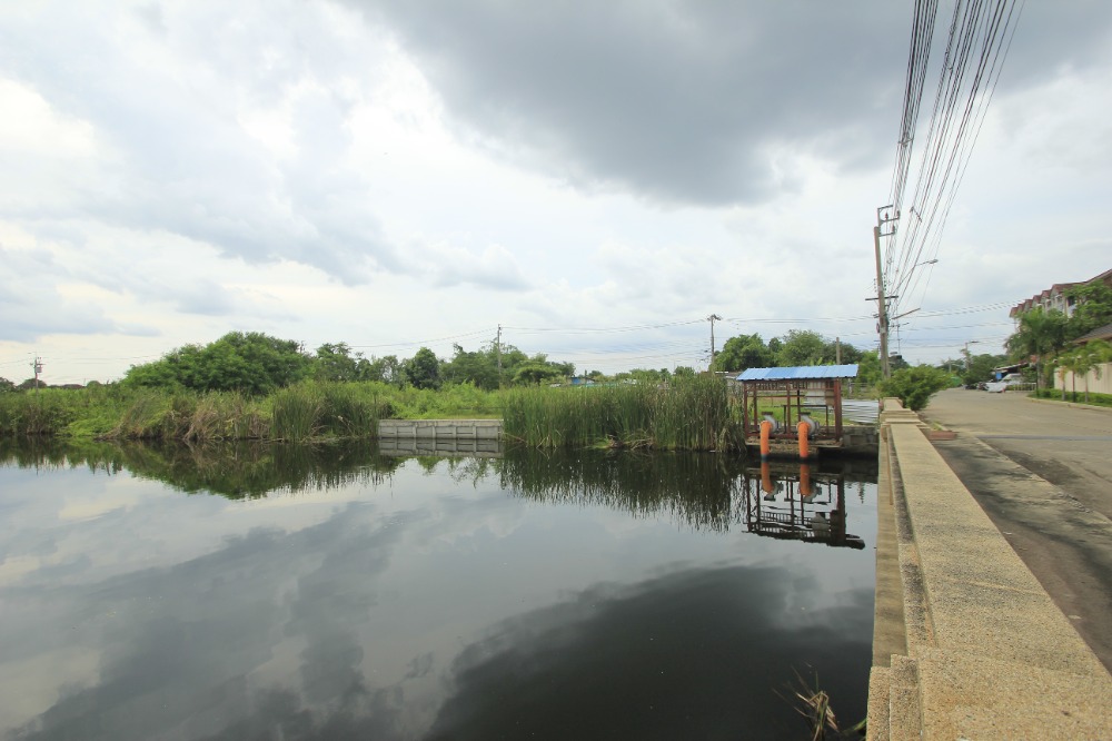 For SaleLandEakachai, Bang Bon : Ekachai Leville Rama 2 Land Soi 100 Ekachai 131 Land Land Convert the corner of the road, land reclamation 233.5 square wah, special price