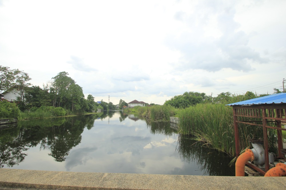 For SaleLandEakachai, Bang Bon : Ekachai Leville Rama 2 Land Soi 100 Ekachai 131 Land Land Convert the corner of the road, land reclamation 233.5 square wah, special price