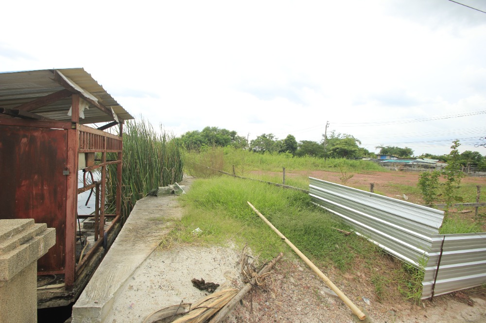 For SaleLandEakachai, Bang Bon : Ekachai Leville Rama 2 Land Soi 100 Ekachai 131 Land Land Convert the corner of the road, land reclamation 233.5 square wah, special price