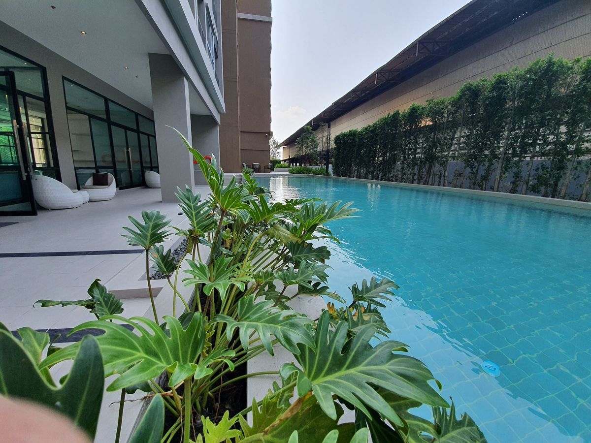 For RentCondoSamut Prakan,Samrong : 🔥Urgent for rent, new room ready to move in 🔥Condo Niche Mono Sukhumvit - Pu Chao, starting rent 13,700 baht/month, accepting both Thais and foreigners (with rental contract for 6 months / 1 year) RentNex By Sena