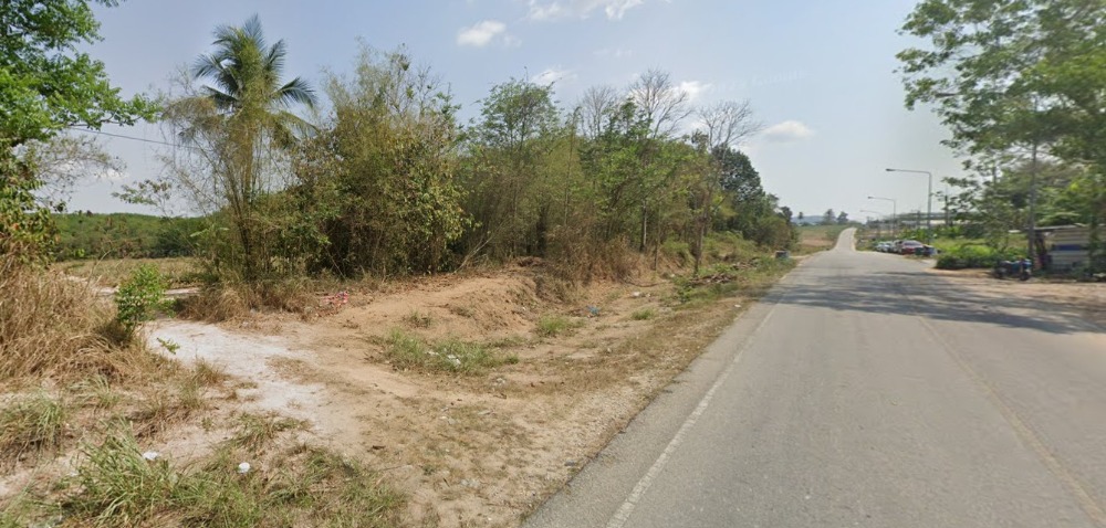 ขายที่ดินระยอง : ขายที่ดินนิคมพัฒนา ระยอง ขนาด 46 ไร่ พื้นที่สีม่วงลาย ใกล้โรงงาน BYD