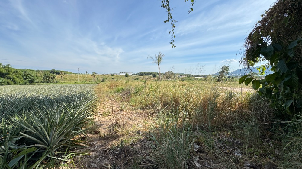 ขายที่ดินระยอง : ขายที่ดินนิคมพัฒนา ระยอง ขนาด 46 ไร่ พื้นที่สีม่วงลาย ใกล้โรงงาน BYD