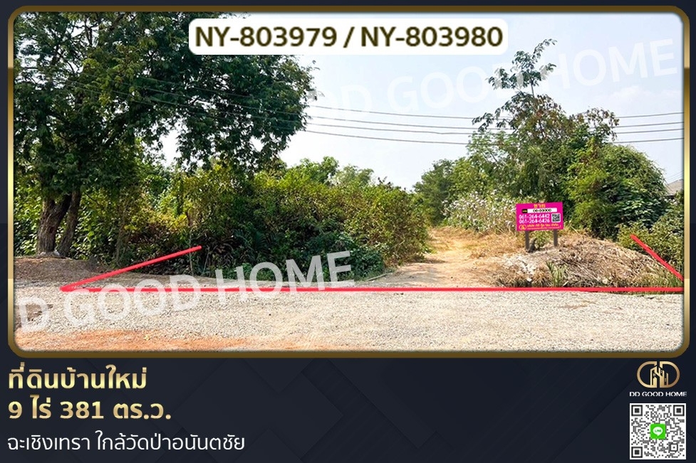 For SaleLandChachoengsao : NY-803979 New house land 9 rai 381 sq w. Chachoengsao near Wat Pa Ananchai