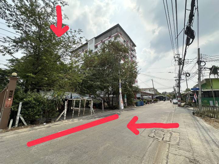 ขายที่ดินบางแค เพชรเกษม : ขายที่ดิน เพชรเกษม หนองแขม พุทธมณฑล ทำเลดี ใกล้ มหาลัย อพาร์ทเม้นท์ แมนชั่น หมู่บ้าน ตลาด ห้าง โรงเรียน ฯ