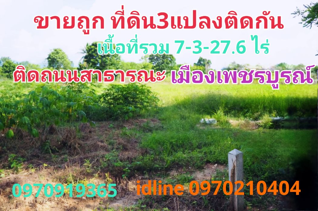 ขายที่ดินเพชรบูรณ์ : ขาย ที่ดิน เมืองเพชรบูรณ์ 7 ไร่ 3 งาน 27.6 ตร.วา ติดถนนสาธารณะ เหมาะทำบ้านสวนเกษตร