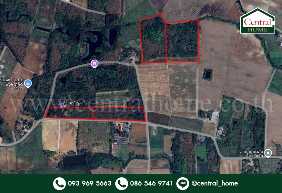 For SaleLandRatchaburi : Forest Land, Chom Phrai 32-34 Rai, with Pak Chong Tattoo Forest