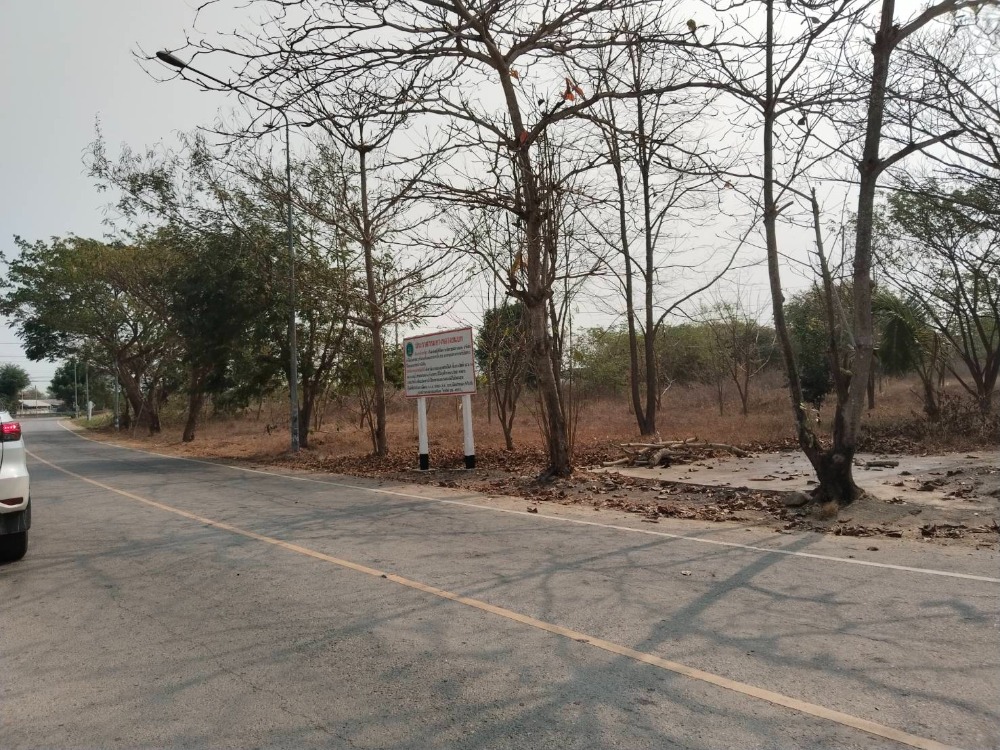 For SaleLandChai Nat : Land for sale, Han Kha Chainat District, 3 Rai, near 340 road