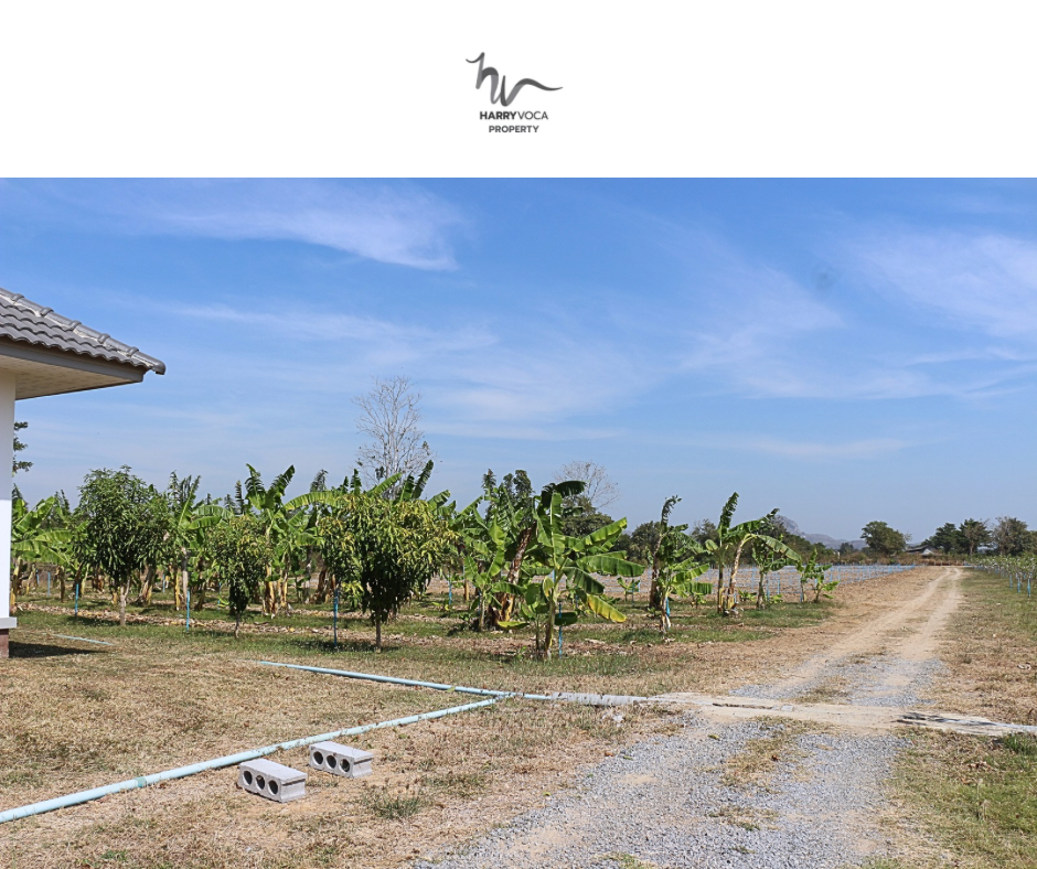 For SaleHouseHuahin, Prachuap Khiri Khan, Pran Buri : For Sale: Huge Land with Modern House in Pranburi near Makro Pranburi (Property ID: HV S-55)