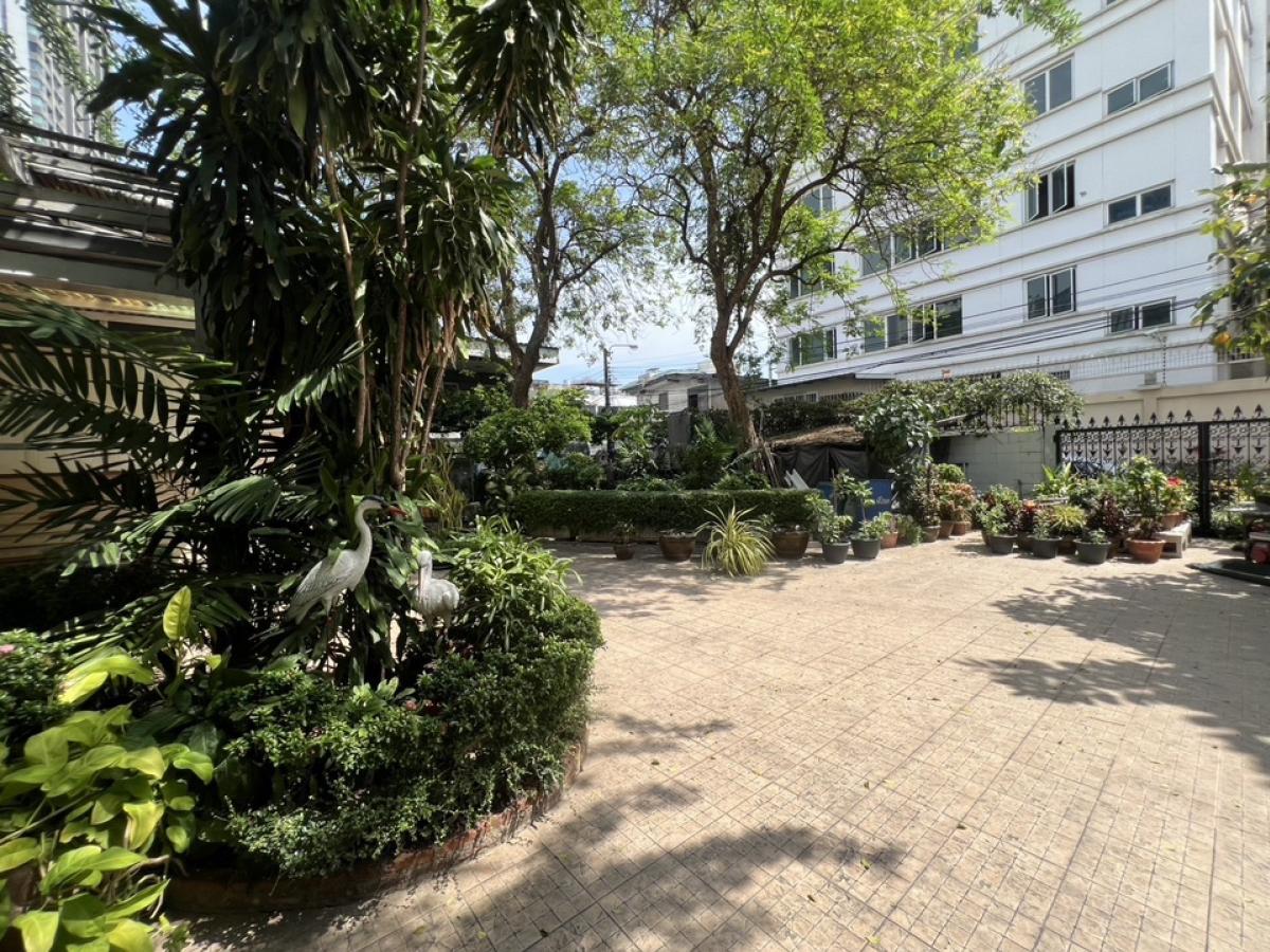 For RentRetail SpaceSukhumvit, Asoke, Thonglor : Rent a wooden house, Soi Ekkamai, Sukhumvit 63, Bangkok, on the land 288 square wah, decorating the renovated business, good atmosphere, agreed conditions, suitable cafes, bakeries, teaching to make snacks, restaurants, Thai food, Michelin Chef, Thai Mass