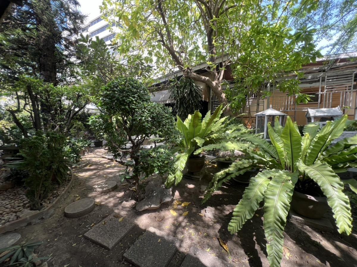 For RentRetail SpaceSukhumvit, Asoke, Thonglor : Rent a wooden house, Soi Ekkamai, Sukhumvit 63, Bangkok, on the land 288 square wah, decorating the renovated business, good atmosphere, agreed conditions, suitable cafes, bakeries, teaching to make snacks, restaurants, Thai food, Michelin Chef, Thai Mass