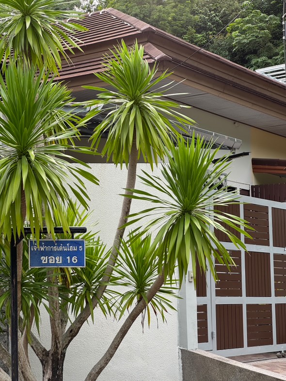 For RentHousePhuket : Two -story twin house for rent