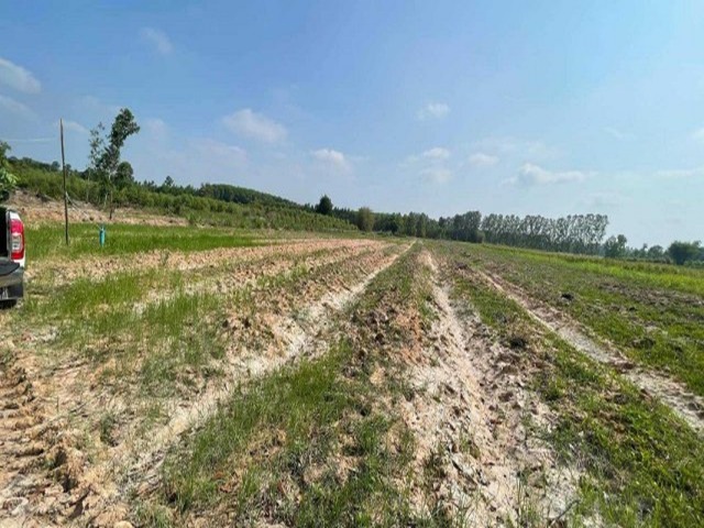 For SaleLandSa Kaeo : Land for sale, size 5 rai 2 ngan 77 square wah, good location on the road, the price is pleasing!  Convenient transportation on the main road near a community area of ​​only 250 meters. Khok Pi Kong Subdistrict, Mueang Sa Kaeo District, Sa Kaeo Province