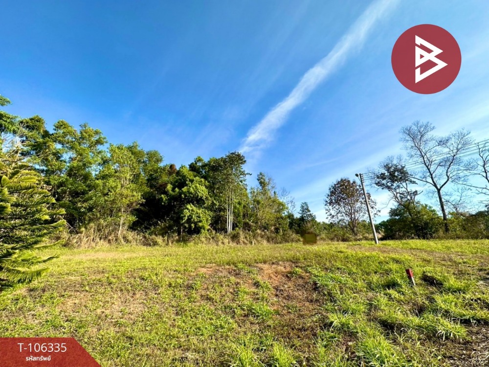 For SaleLandPhetchabun : Land for sale, area 3 jobs, 9 sq.wah, Khao Kho, Phetchabun