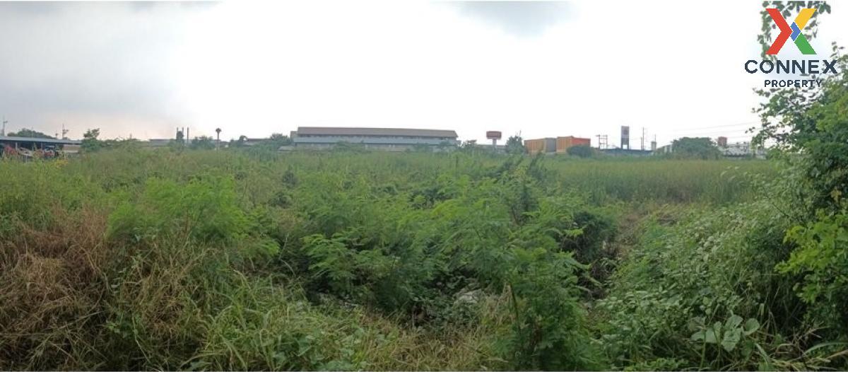 For SaleLandMahachai Samut Sakhon : For Sale land 18 rai 2 ngan, Setthakit 1 Road Samut Sakhon , Tha Mai , Krathum Baen , Samut Sakhon , CX-116220