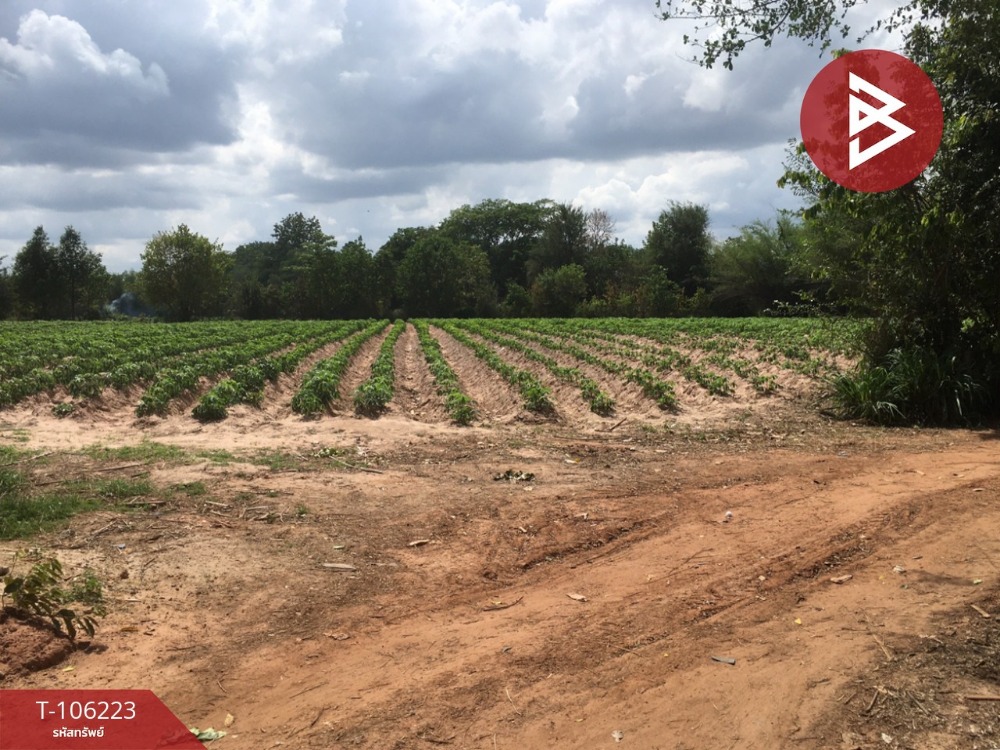 For SaleLandKhon Kaen : Land for sale, area of ​​4 rai 3 ngan 90 sq.wah, Nam Phong Khon Kaen