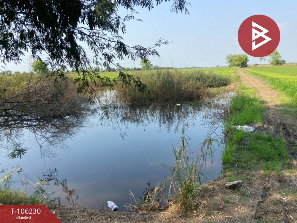 For SaleLandNakhon Sawan : Land for sale in an area of ​​10 rai 70 square wah, Tha Tako, Nakhon Sawan